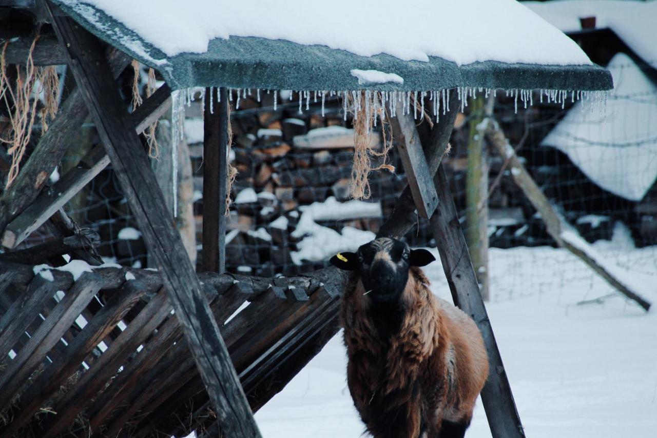 Landgasthof Zur Wildbahn Бург Екстериор снимка